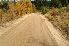 Forest Service Road 300