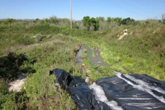 IMG_0126-Copy