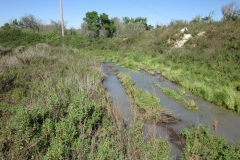 IMG_0130-Copy