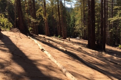 Mendocino Woodlands Camp