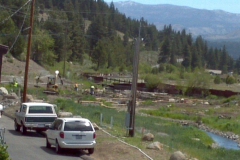 Trout Creek