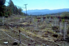2012-06-12_09-09-26_484