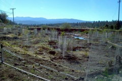 2012-06-12_09-09-32_579